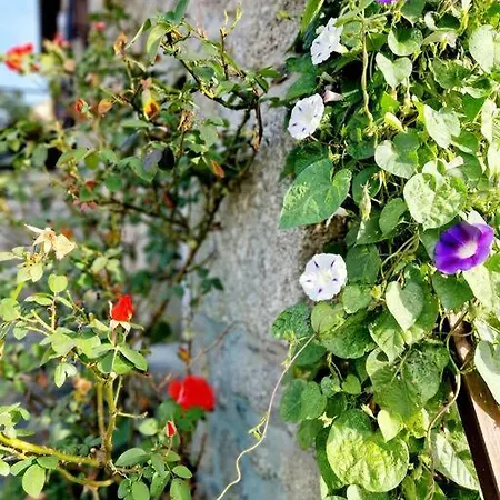 Le Casimir, à * Estaing (Aveyron)