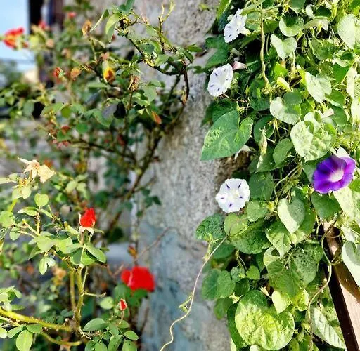 Le Casimir, A * Estaing (Aveyron)